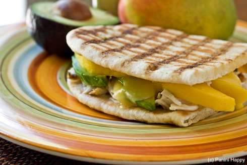 Cranberry Chicken and Avocado Panini Healthy Food Ideas