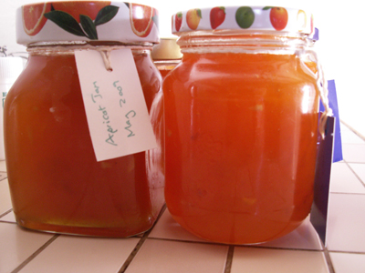 Two jars full of orange coloured jam with labels. food ideas