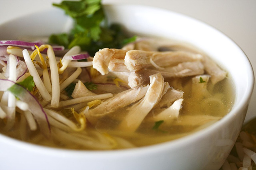 Chicken Noodle Soup - Fresh Ideas