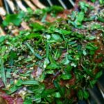 Lamb rack topped with chopped fresh herb on barbeque grill.