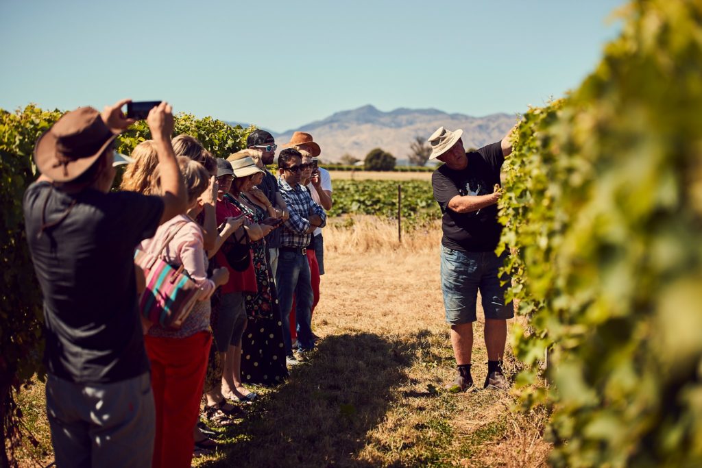 Key players from the global drinks industry visit for NZ Lighter wine - Fresh