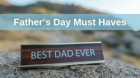 Father's Day Must Haves banner on an image ofa some bush with a sign saying best dad ever sitting on a rock in the foreground